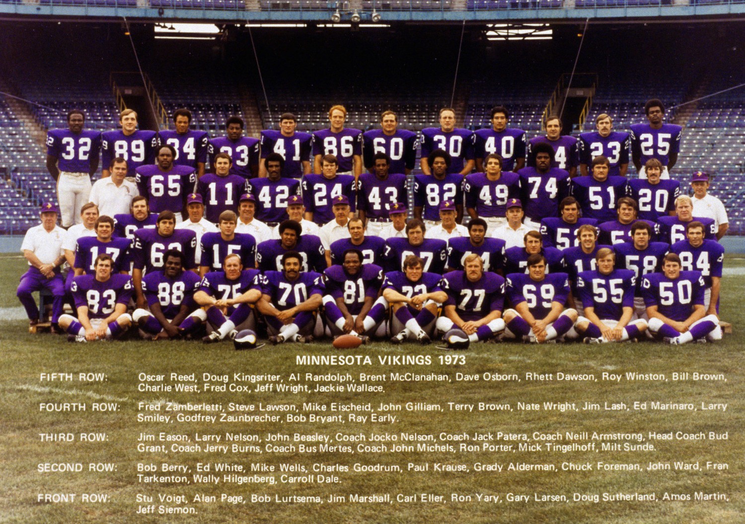 Minnesota Vikings 1973 (NFL)